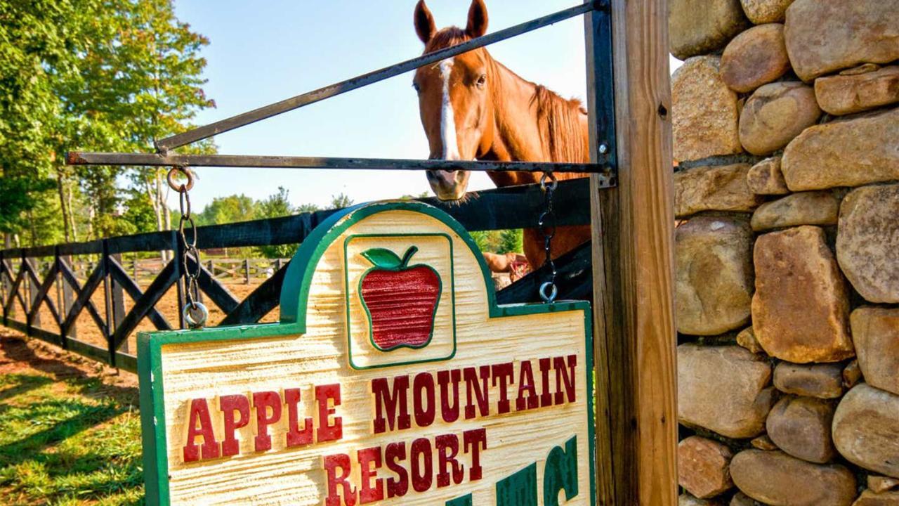 Holiday Inn Club Vacations Apple Mountain Resort At Clarkesville Екстер'єр фото